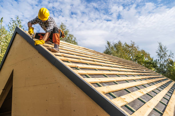 Best Metal Roofing Contractor  in Cadott, WI